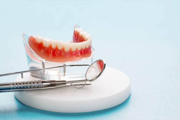 Best Preventive Dentistry  in Beechwood Trails, OH
